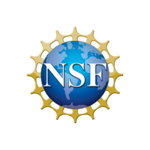 NSF